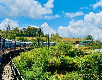Rondreis Sri Lanka